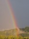 Aufrufe: 890
Datum: 15.01.06
1704x2272 (1.8 MB)