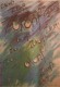 Aufrufe: 892
Datum: 12.03.06
265x383 (13.4 KB)
