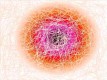 Es ist nicht ganz so, wie ich es mir vorgestellt hatte und nicht ganz so, wie ich es mir nicht vorstellen knnte. 
Aufrufe: 893
Datum: 29.05.09
454x340 (25.4 KB)
