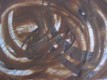 Mit Erde bemalt. Es reizt mich vermehrt, die in den Raum hineinfhrende Art des krperlich und sinnlich fhlbaren Erdmaterials formend zu erleben. Das beglckende Gefhl, Schpferin sein zu drfen, ohne wirklich Schpferin sein zu mssen und zu knnen  und trotzdem. 
Aufrufe: 892
Datum: 25.06.09
454x340 (15.4 KB)