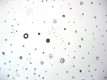Ich sehe viele Ansatzpunkte, benutze sie manchmal als Anhaltspunkte und schaue zu jenen hinber, die auf einer Linie fahren. 
Aufrufe: 891
Datum: 13.09.09
454x340 (102.3 KB)