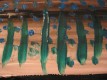 Bewusst zu handeln scheint mir einfacher zu sein aus einer gedmpften Stimmung heraus als aus einer euphorischen Haltung. 
Aufrufe: 897
Datum: 06.02.10
640x480 (120.1 KB)