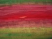 Die Wahrheit des gegenseitigen Bezugs zeigt sich unter anderem in ausbleibender Reaktion, im Vergessen und in Verzgerungen von versprochenen Taten. 
Aufrufe: 893
Datum: 21.03.10
640x480 (77.8 KB)